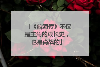 《藏海传》不仅是主角的成长史，也是肖战的