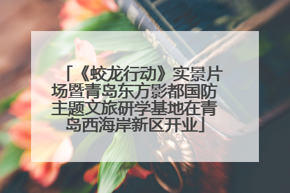 《蛟龙行动》实景片场暨青岛东方影都国防主题文旅研学基地在青岛西海岸新区开业