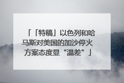 「特稿」以色列和哈马斯对美国的加沙停火方案态度显“温差”