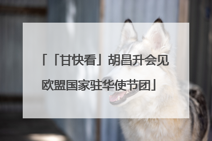 「甘快看」胡昌升会见欧盟国家驻华使节团