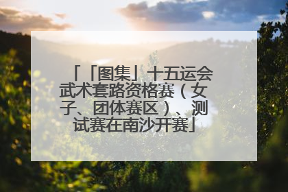 「图集」十五运会武术套路资格赛（女子、团体赛区）、测试赛在南沙开赛