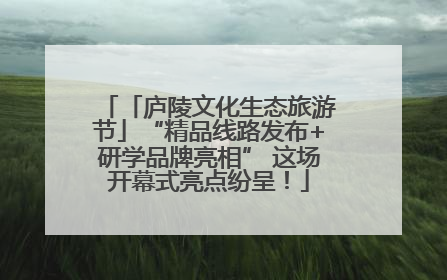 「庐陵文化生态旅游节」“精品线路发布+研学品牌亮相” 这场开幕式亮点纷呈！