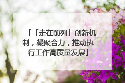 「走在前列」创新机制，凝聚合力，推动执行工作高质量发展