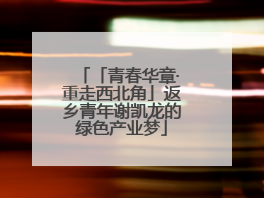 「青春华章·重走西北角」返乡青年谢凯龙的绿色产业梦