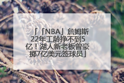 「NBA」詹姆斯22年工龄挣不到5亿！湖人新老板曾豪掷7亿美元签球员