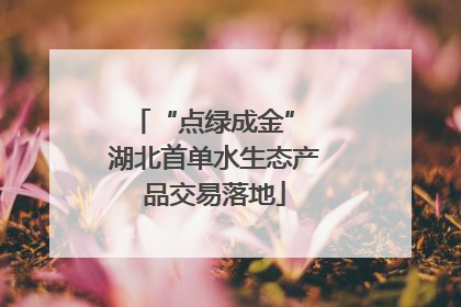 “点绿成金” 湖北首单水生态产品交易落地
