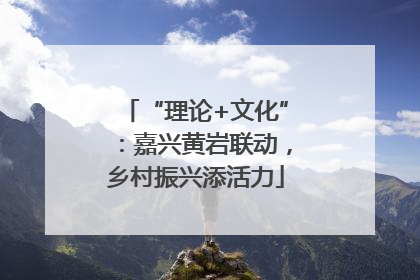 “理论+文化”：嘉兴黄岩联动，乡村振兴添活力
