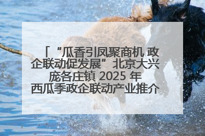 “瓜香引凤聚商机 政企联动促发展”北京大兴庞各庄镇 2025 年西瓜季政企联动产业推介活动圆满举行