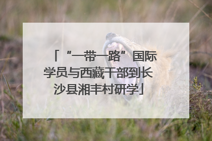 “一带一路”国际学员与西藏干部到长沙县湘丰村研学