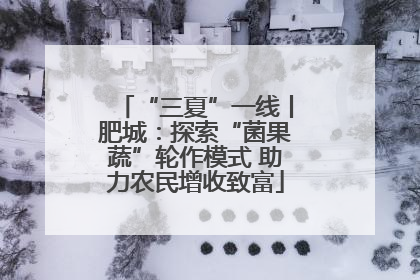 “三夏”一线丨肥城：探索“菌果蔬”轮作模式 助力农民增收致富
