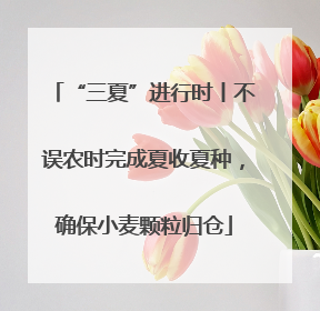 “三夏”进行时丨不误农时完成夏收夏种，确保小麦颗粒归仓