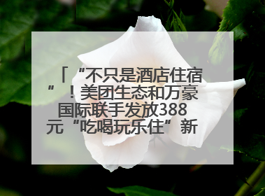 “不只是酒店住宿”！美团生态和万豪国际联手发放388元“吃喝玩乐住”新会员礼包