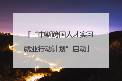 “中斯跨国人才实习就业行动计划”启动