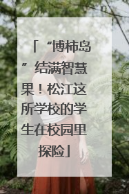 “博柿岛”结满智慧果！松江这所学校的学生在校园里探险