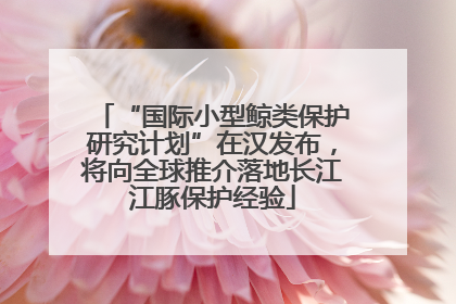 “国际小型鲸类保护研究计划”在汉发布，将向全球推介落地长江江豚保护经验