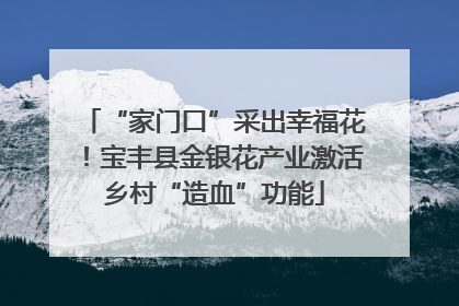 “家门口”采出幸福花！宝丰县金银花产业激活乡村“造血”功能