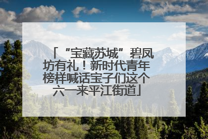 “宝藏苏城”碧凤坊有礼！新时代青年榜样喊话宝子们这个六一来平江街道