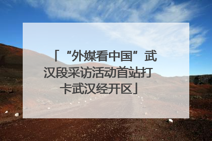 “外媒看中国”武汉段采访活动首站打卡武汉经开区