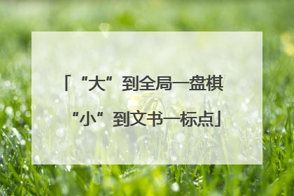 “大”到全局一盘棋 “小”到文书一标点