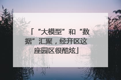 “大模型”和“数据”汇聚，经开区这座园区很酷炫