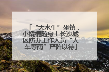 “大水牛”坐镇，小撬棍随身！长沙城区防办工作人员“人车等雨”严阵以待