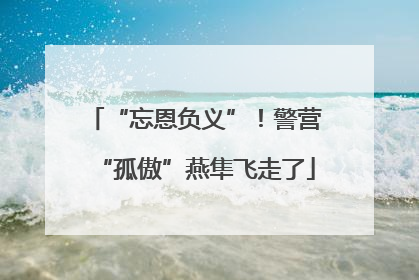 “忘恩负义”！警营“孤傲”燕隼飞走了