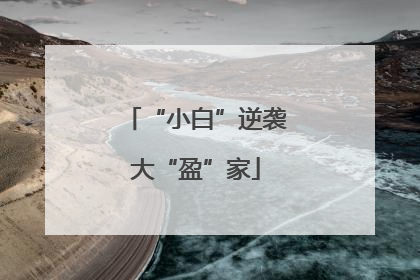 “小白”逆袭大“盈”家