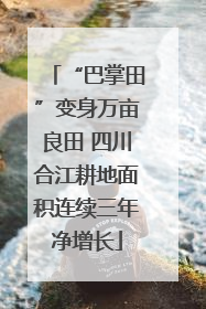 “巴掌田”变身万亩良田 四川合江耕地面积连续三年净增长