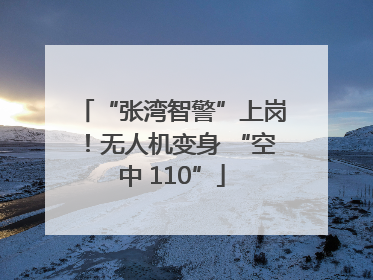 “张湾智警”上岗！无人机变身 “空中 110”