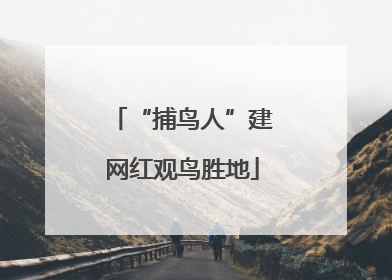 “捕鸟人”建网红观鸟胜地