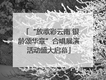 “放歌彩云南 银龄颂华章”合唱展演活动盛大启幕