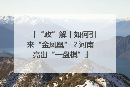 “政”解丨如何引来“金凤凰”？河南亮出“一盘棋”