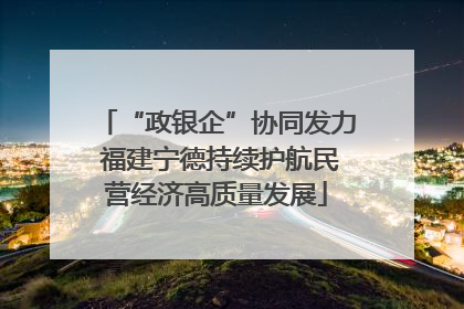 “政银企”协同发力 福建宁德持续护航民营经济高质量发展