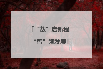 “数”启新程 “智”领发展