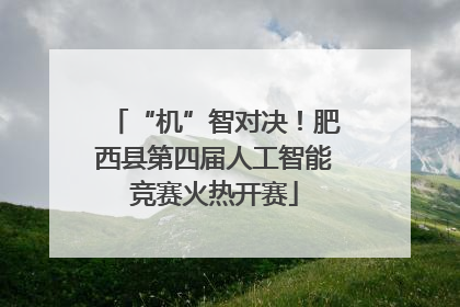 “机”智对决！肥西县第四届人工智能竞赛火热开赛
