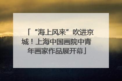 “海上风来”吹进京城！上海中国画院中青年画家作品展开幕