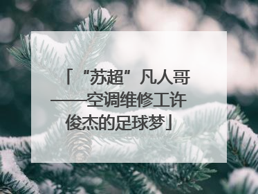 “苏超”凡人哥——空调维修工许俊杰的足球梦