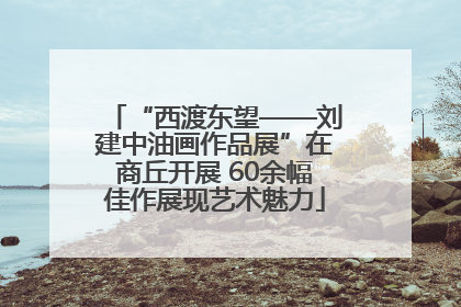 “西渡东望——刘建中油画作品展”在商丘开展 60余幅佳作展现艺术魅力