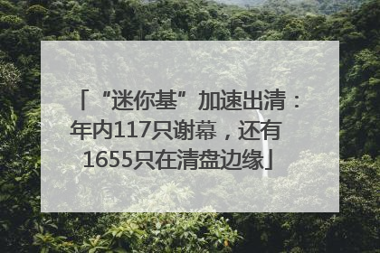 “迷你基”加速出清：年内117只谢幕，还有1655只在清盘边缘