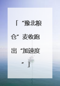 “豫北粮仓”麦收跑出“加速度”