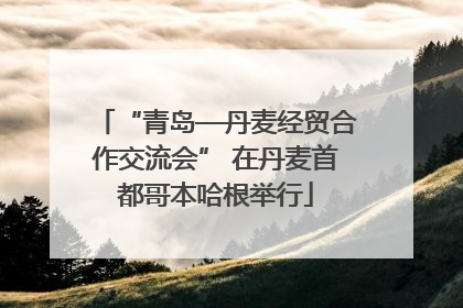 “青岛—丹麦经贸合作交流会” 在丹麦首都哥本哈根举行