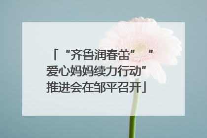 “齐鲁润春蕾”“爱心妈妈续力行动”推进会在邹平召开