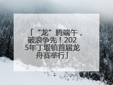 “龙”腾端午，破浪争先！2025年丁堰镇首届龙舟赛举行