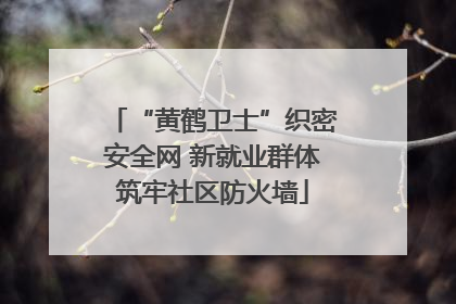 “黄鹤卫士”织密安全网 新就业群体筑牢社区防火墙