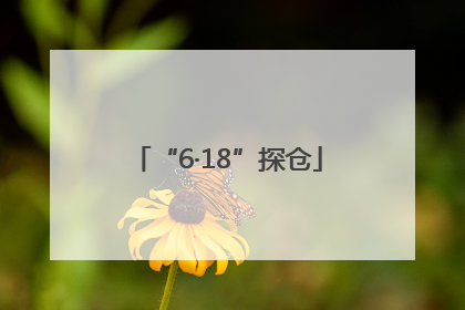 “6·18”探仓