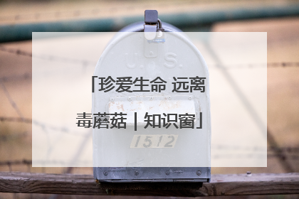 珍爱生命 远离毒蘑菇｜知识窗