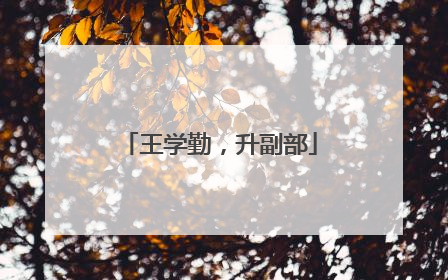 王学勤，升副部