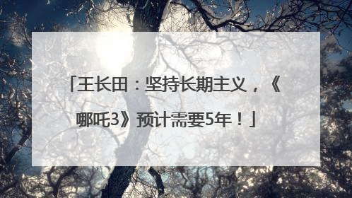 王长田：坚持长期主义，《哪吒3》预计需要5年！