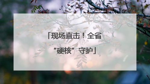 现场直击！全省“硬核”守护