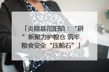 炎陵县霞阳镇：“耕”新聚力护粮仓 筑牢粮食安全“压舱石”